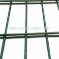 Fabricante anping suministra Twins Wire Barrier Fence
